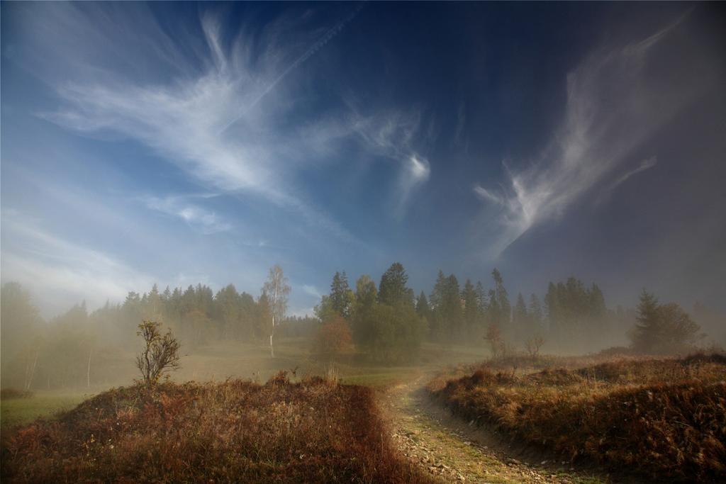Domek Buflak Nowy Targ Oda fotoğraf